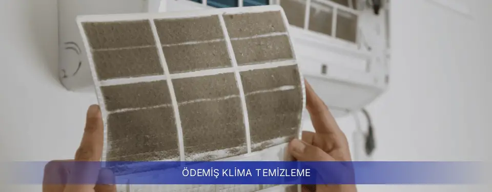 Ödemiş İlçemi Samsung Klima Temizleme